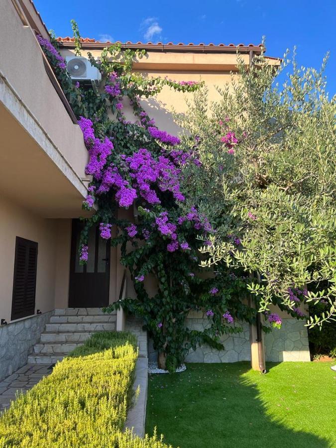 Apartments House Barbara Kornić Екстериор снимка
